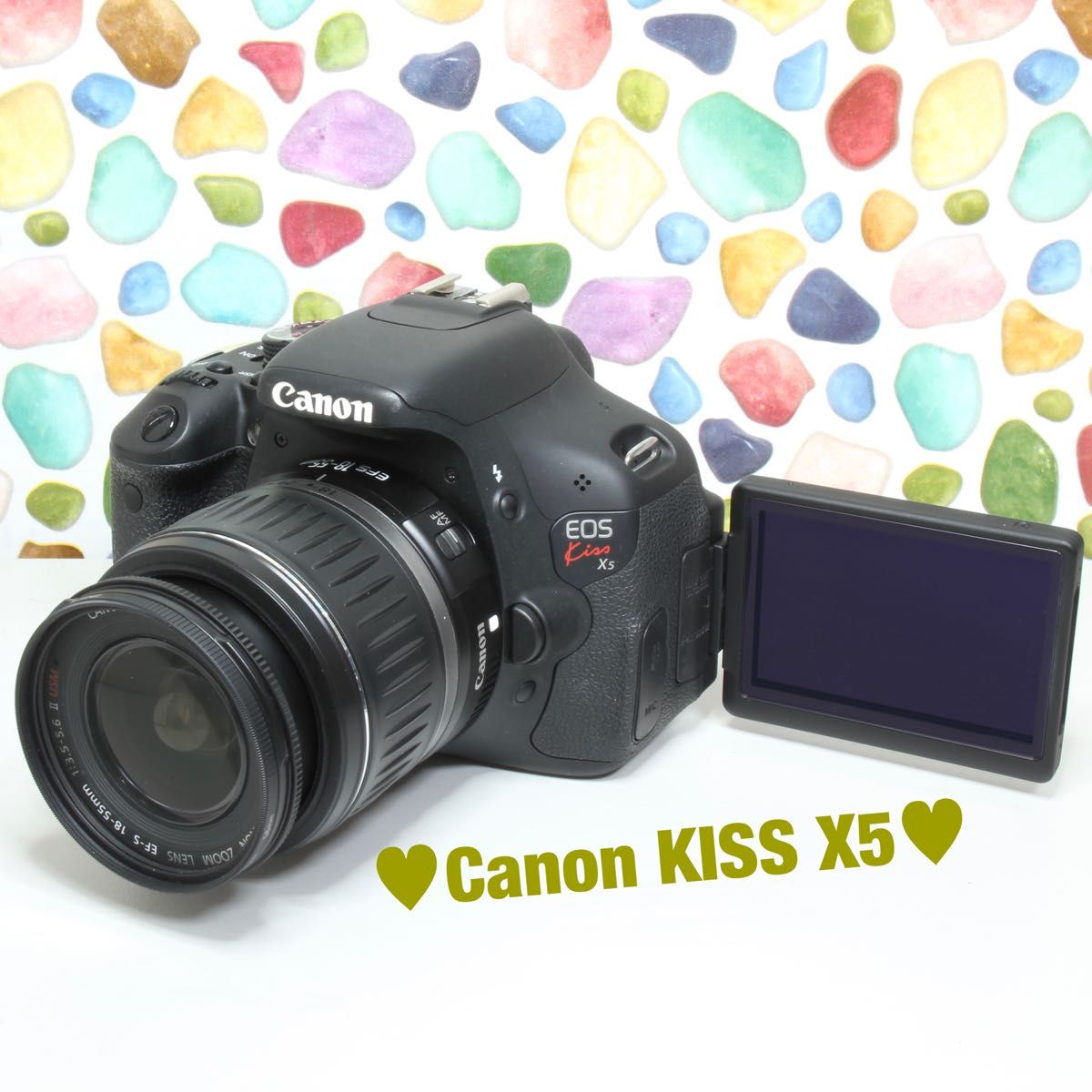 おすすめネット Nikon Nikon 一眼レフ D5300☆スマホに転送できるWiFi
