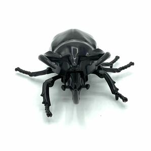 【保管品Y0110】カブトムシ 昆虫 トコトコ ゼンマイ フィギュア 玩具 おもちゃ 動作確認済の画像2