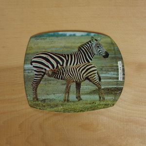  France 70's Vintage sticker seal zebra #s-236