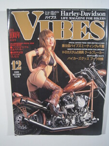 VIBES 2001 12月号 2001年　長谷川瞳　2001年平成13年 VIBES (バイブス) 　バイブズ