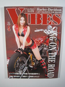 VIBES 2010 4月号 紗奈 2010 平成22年 VIBES (バイブス) バイブズ (折込付属)