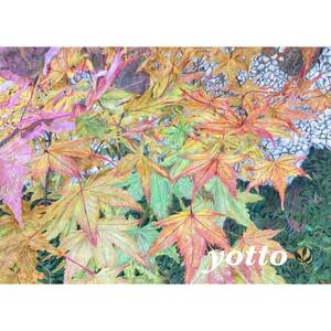  color pencil .[ autumn day peace ]A4* amount attaching ** hand ..* original picture * landscape painting **yotto *