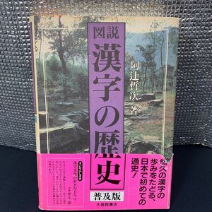 ★大阪堺市/引き取り可★漢字の歴史 阿辻哲次 帯付き 図説 普及版 大修館書店 歴史 漢字の発達 変遷 古代文字資料 ★