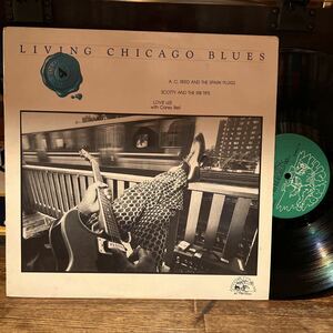 [LP] LIVING CHICAGO BLUES Vol.4 ( A.C.REED他 )