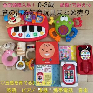 五感モンテッソリー【0-3歳】音の出る楽器知育玩具9点セットまとめ売り(電池抜) 
