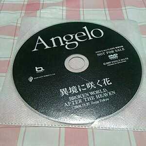 ◎非売品 Angelo DVD 異境に咲く花 フールズメイト 特別付録 キリト PIERROT