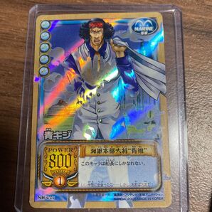 ワンピースカード 海軍本部大将青雉 青キジ 英雄たちの船影 激レア