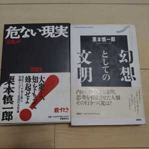 幻想としての文明　危ない現実 : 「正義」が思想を殺すとき　栗本 慎一郎2冊