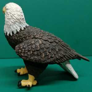 Safari ハクトウワシ 白頭鷲 ワシ わし 鷲 Bald Eagle 猛禽類 サファリ フィギュアの画像4