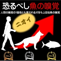 集魚剤 つけエサ用 アミノ酸 アラニン パウダー 30g ８個組 冷凍 オキアミ 冷凍イワシ エサ 海上釣堀 エサ アミエビ 釣りエサ 釣り餌_画像5