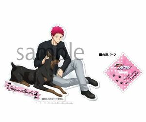 ●新品・未開封/赤司征十郎 With a Dog & Cat 黒子のバスケ アクリルスタンド /グッズ類：ストラップ・キーホルダー系●