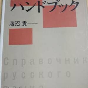 ロシア語ハンドブック　藤沼貴　東洋書店