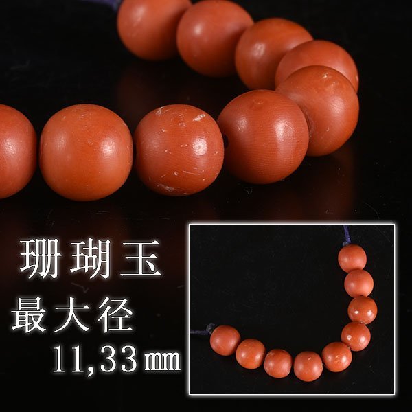 完売】 珊瑚玉 大きめサイズ H2-3 ienomat.com.br