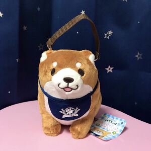 新品☆即決 忠犬もちしば ポケットティッシュ マスコット おかか ポーチ