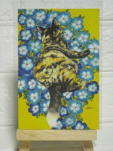POST CARD◆猫25・sion◆ポストカード/ネコ