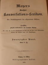 1908年 古い マイヤー 百科事典 （２０）　多色石版画 動物画 博物画 植物画_画像3