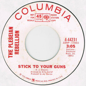 ●THE PLEBEIAN REBELLION / STICK TO YOUR GUNS [US 45 ORIGINAL 7inch シングル PROMO ガレージ 試聴]