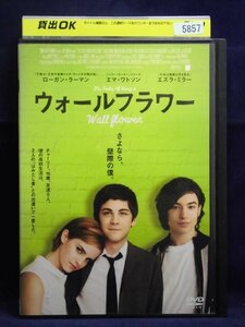 94_02880 ウォールフラワー(日本語字幕・英語/日本語吹替) 出演:ローガン・ラーマン、エマ・ワトソン、エズラ・ミラー他