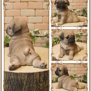 リアルな犬の置物 パグ 休憩中！ 子いぬ ドッグオブジェ イヌオーナメント ガーデニング ベランダアート 庭 装飾の画像2