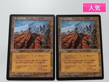 sA474o [人気] MTG 不毛の大地 Wasteland TMP テンペスト 土地 U アンコモン 日本語版2枚_画像1