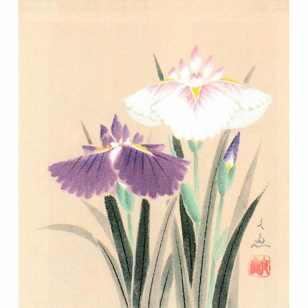 □送料無料・新品中谷文魚朝顔・色紙ブラウン日本画 絵画