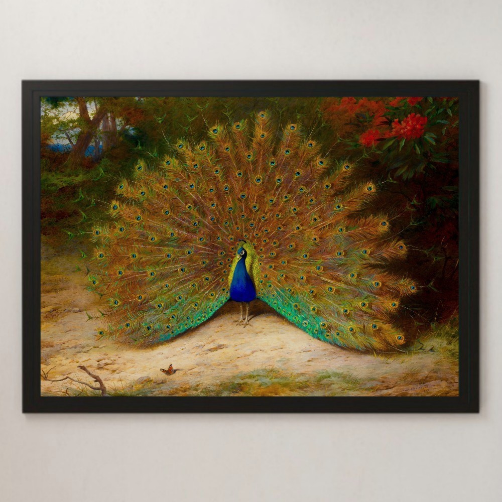 Thorburn 孔雀和孔雀蝴蝶绘画艺术光面海报 A3 酒吧咖啡馆经典室内孔雀蝴蝶雉鸡动物景观自然, 住宅, 内部的, 其他的