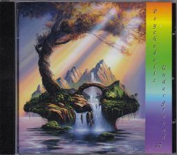 【新品CD】 VARIOUS / Psychedelic underground 17