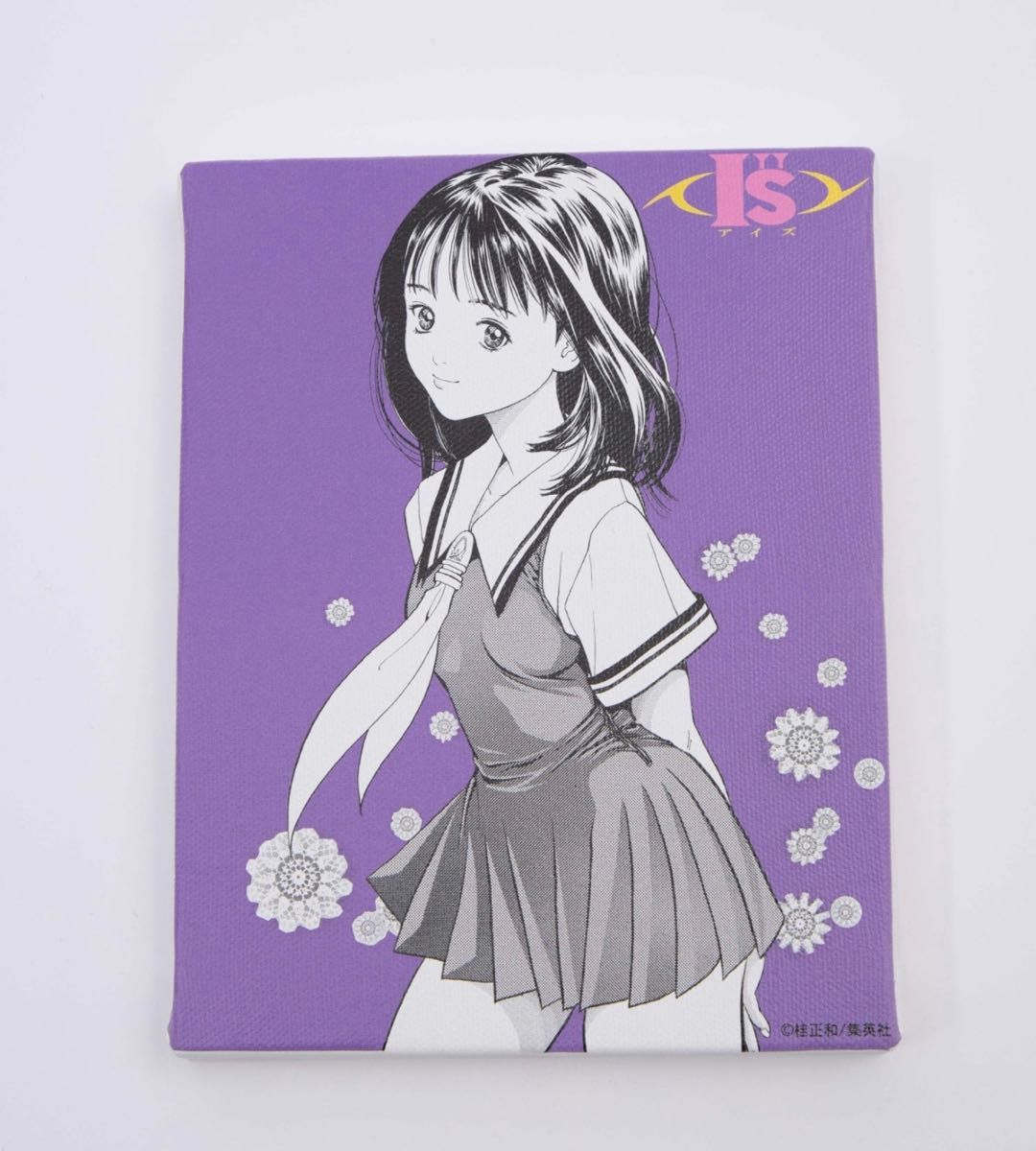 アウトレット 美品 【受注生産】 桂正和 A4キャラファイングラフ I
