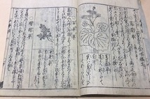 本朝世事談綺・世事談・3冊/菊岡沾涼/江戸時代民間常用の器物等の起源を記した事物起源辞典とも言うべき書物/絵入和装本/歳時・生植・能芸_画像3