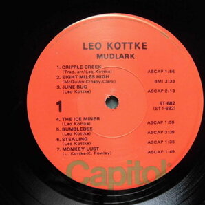 Leo Kottke/Mudlark  6弦＆12弦アコギ、ボトルネック、フィンガー・ピッキングの名手、ドライヴの効いたギター＆ヴォーカル、レアUS盤の画像3