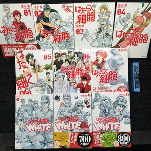 はたらく細胞　1〜6巻（1巻未開封）　公式ファンブック　はたらく細胞WHITE 1〜3巻セット（2〜3未開封）　刷数:46,18,10,18,21,1-3-1,1,1