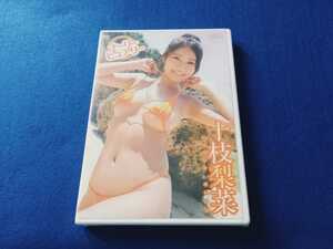 【新品 未開封 DVD】 十枝梨菜 / ナーリー・ピュアリー 《たっぷり105分》 イメージ ＤＶＤ グラビア アイドル Rina Toeda 【同梱可能】