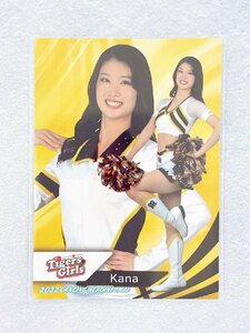 ☆ BBM プロ野球チアリーダーカード 2022 DANCING HEROINE 舞 舞11 阪神タイガース TigersGirls Kana ☆