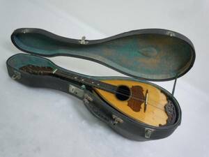 [ mandolin ] SILVESTRI CATANIAkatania Italy 