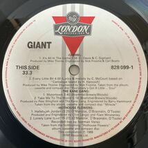 シュリンク HYPE STICKER付 / 美盤 / V.A. / GIANT / LP レコード / 828 099-1 / CANADA /_画像5