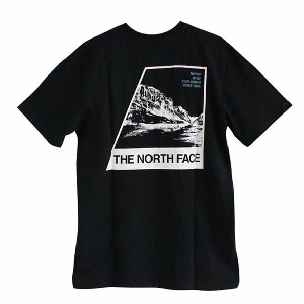 THE NORTH FACE ザ・ノースフェイス LOGO PLAY プリントMサイズ Tシャツ BLACK