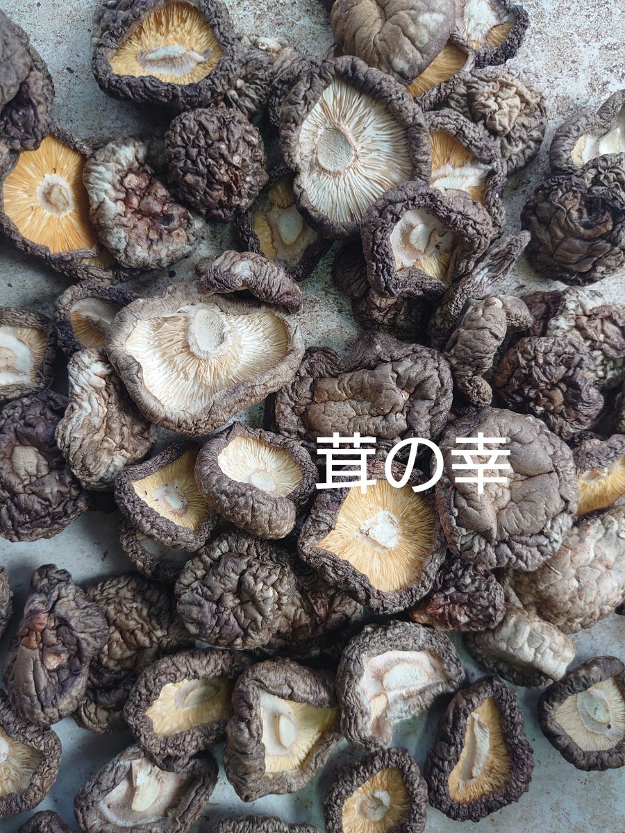 ②【天日干し】 干し椎茸 200g(100g×2袋) 徳島県産 軸なし 無農薬
