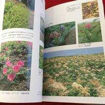 Z12-232 新版 礼文 花の島 花の道 宮本誠一郎 杣田美野里 北海道新聞社 2004年発行 ミズバショウ アツモリソウ イチゲ オダマキ など_画像6