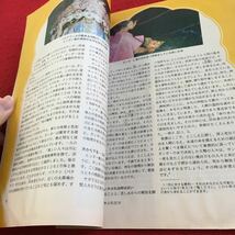 Z12-352 目ざめよ ! 1989年発行 ものみの塔聖書冊子 価値基準はどうなっているのか 書き込み有り 目次不明 宗教 ベストセラー など_画像4