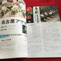 Z13-352 NHK 趣味の園芸 7月号 昭和50年発行 7月の園芸作業 盆栽のたのしみ 植物園を訪ねて 花の美術 新しい花を求めて やさしい園芸植物学_画像5