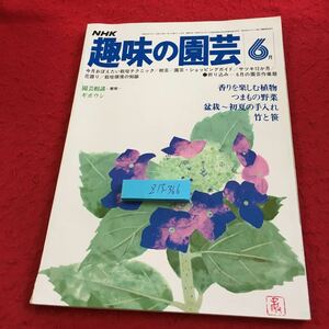 Z13-366 NHK 趣味の園芸 6月号 昭和53年発行 香りを楽しむ植物 つまもの野菜 盆栽 初夏の手入れ 竹と笹 今月おぼえたい栽培テクニック