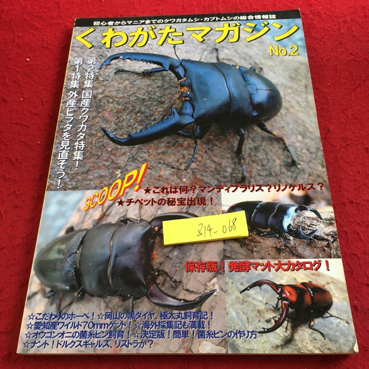 25冊 くわがたマガジン No-1~26 クワガタ飼育 趣味 | endageism.com