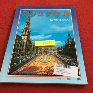 Z14-244 ブリュッセル 魅力を秘めた町 市街地 1999年発行 歴史 建造物 観光地 グラン・プラス マキシミリアンの間 オメガング など