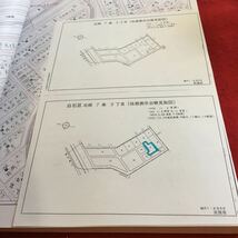 貼り付けあり