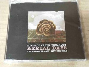 SONGS OF GREEN PHEASANT AERIAL DAYS UK盤プロモCD FATCAT g353