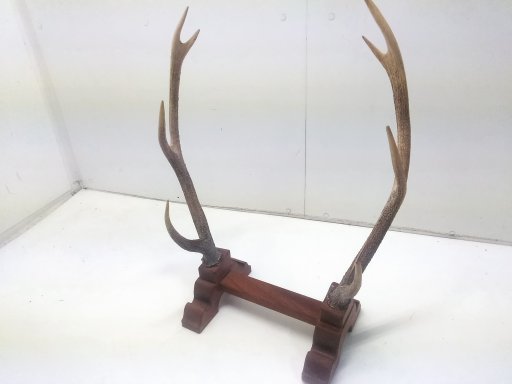 ヤフオク! -「鹿の角 置物」の落札相場・落札価格