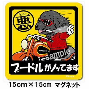 新品★ちょい悪マグネット★プードル黒★車に♪★犬雑貨　送料180円可