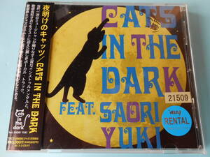 CD* night opening. Cat's tsu/CATS IN THE DARK FEAT.... hutch 