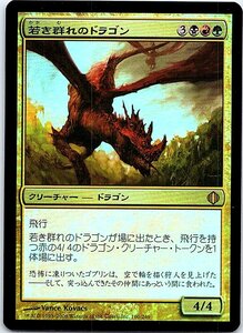 FOIL/若き群れのドラゴン/Broodmate Dragon/アラーラの断片/日本語版/MTG１枚 [FC]