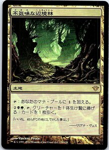 FOIL/不気味な辺境林/Grim Backwoods/闇の隆盛/日本語版/MTG１枚 [FC]